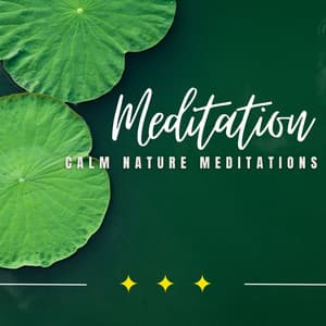 Riverside Peaceful Escape: Calm Nature Meditations - Natures DNA