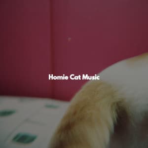 Homie Cat Music - Playlist Música para Dormir