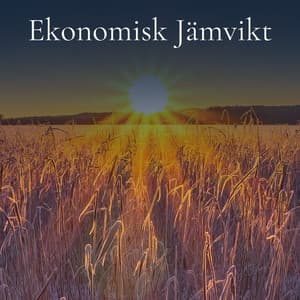 Ekonomisk Jämvikt - Lugnande Ljud