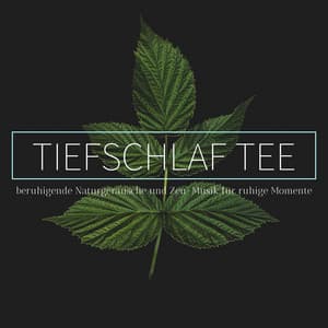 Tiefschlaf tee: beruhigende Naturgeräusche und Zen-Musik für ruhige Momente - Schlaf Klang