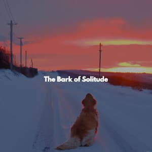 The Bark of Solitude - Smooth Light Restaurant Music