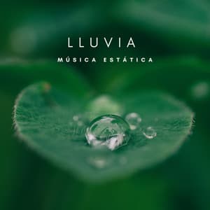Lluvia: Música Estática - Lluvia para un sueño profundo