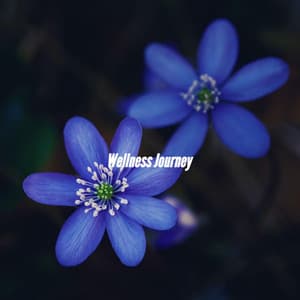 Wellness Journey - Hotel Lobby Jazz Music