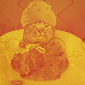 Entertaining Background for Calming for Cats - Relaxing Music for Cats