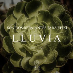 Sonidos Relajantes para Reiki: Lluvia - Reiki Armonía