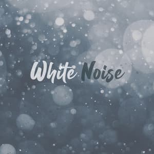 White Noise - Noise Academy