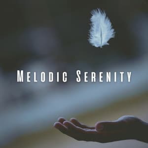 Melodic Serenity: Relaxation with Music - Calm Shores
