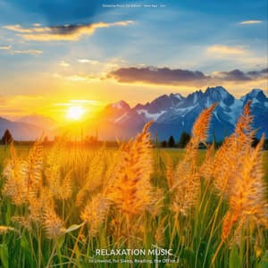 Relaxation Music to Unwind, for Sleep, Reading, the Office 2 - Sleeping Music for Babies