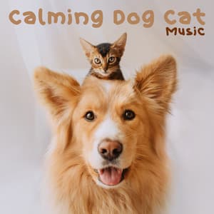 Calming Dog Cat Music: Relaxation and Anxiety Therapy - Pet Relax Academy