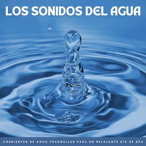 Los Sonidos Del Agua: Corrientes De Agua Tranquilas Para Un Relajante Día De Spa - Agua Mantra