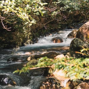 Bookish Brooks: Chill Music Water Reading - Waterfall Sounds