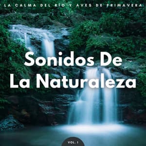 Sonidos De La Naturaleza: La Calma Del Río Y Aves De Primavera Vol. 1 - Vibraciones de la Naturaleza
