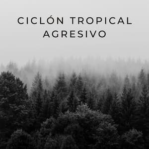 Ciclón Tropical Agresivo - Lluvia y Naturaleza