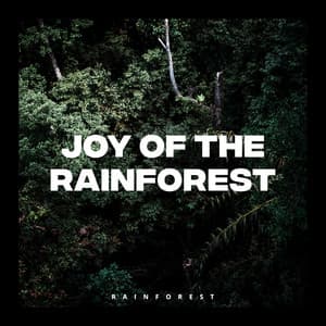 Joy of the Rainforest - Rainforest