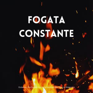 Océanos: Una Fogata Constante Junto Al Mar Para La Relajación - Sonidos de fuego de la naturaleza chisporroteante