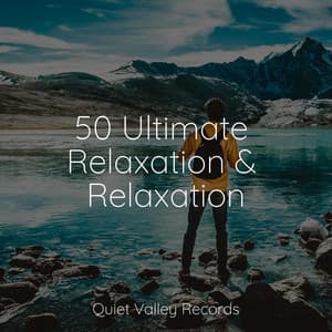 50 Ultimate Relaxation & Relaxation - Meditação Yoga