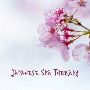 Japanese Spa Therapy - Zen Serenity Spa Asian Music Relaxation