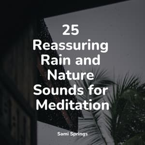 25 Reassuring Rain and Nature Sounds for Meditation - Loopable Sounds for Babies