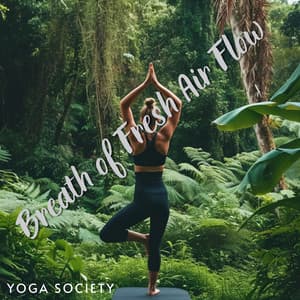 Breath of Fresh Air Flow - Yoga Society