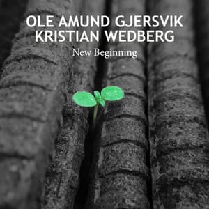 New Beginning - Ole Amund Gjersvik