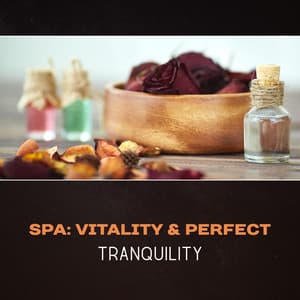 SPA: Vitality & Perfect Tranquility - Paradise Spa Music Academy