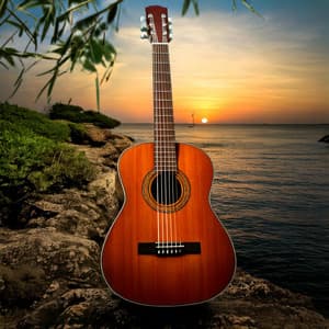 Guitar Music for Reflection: Harmonies of Stillness - Relaxing Guitar Music Play List