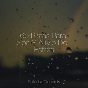 60 Pistas Para Spa Y Alivio Del Estrés - Sueños Triplete