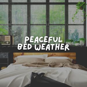 Peaceful Bed Weather - Lightning, Thunder and Rain Storm