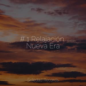 # 1 Relajación Nueva Era - Meditação Yoga Maestro