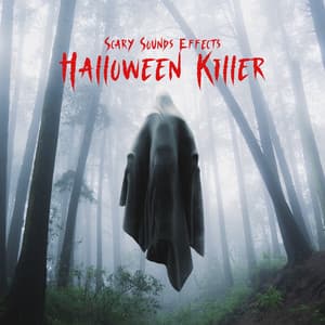 Scary Sounds Effects: Halloween Killer in the Creepy House - Horror Music Collection