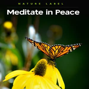 Meditate in Peace - Nature Label