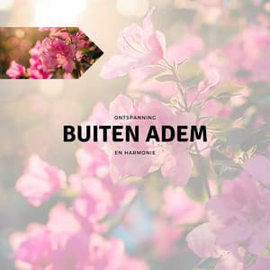 Buiten Adem - Ontspanning en Harmonie