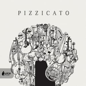 Pizzicato - Darren Mudge