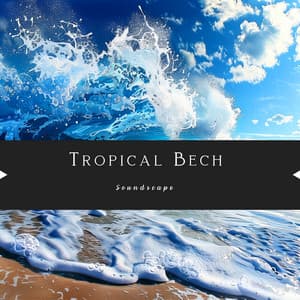 Tropical Bech Soundscape - Nature Queen