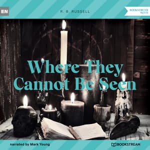 Where They Cannot Be Seen - Mark Young