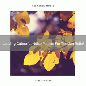 Leading Colourful Noise Palette For Tension Relief - Calming Brown Restful Sounds