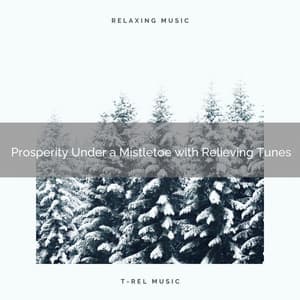 Prosperity Under a Mistletoe with Relieving Tunes - Christmas White Noise