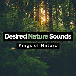 Desired Nature Sounds - Kings of Nature