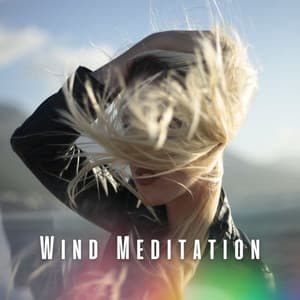 Wind Meditation: Tranquil Meditation with Chill Music - Four Winds