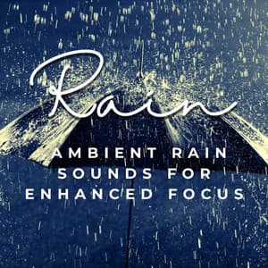 Raindrop Mindfulness: Ambient Rain Sounds for Enhanced Focus - Rain Soundzzz Club