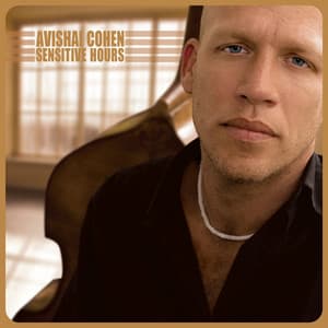 Sensitive Hours - Avishai Cohen