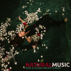 Natural Music For A Good Night's Rest - Dormir Bien