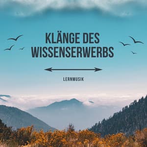 Klänge des Wissenserwerbs - Lernmusik