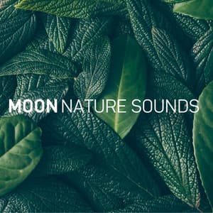 8D Nature Sounds - Moon Tunes