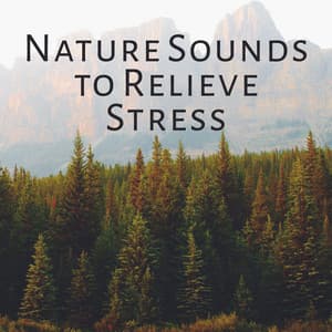 Nature Sounds to Relieve Stress – Easy Sounds, Calming Waves, Healing Memories, Peaceful Music - Nature Tribe