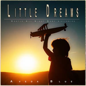 Little Dreams: Gentle All Night Baby Lullabies - Baby Music Experience