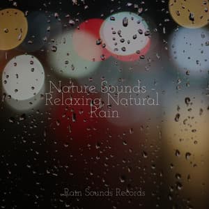 Nature Sounds - Relaxing Natural Rain - Nature Sound Collection