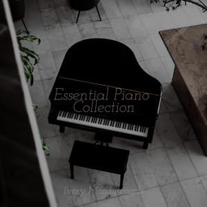 Essential Piano Collection - Ivory Mood