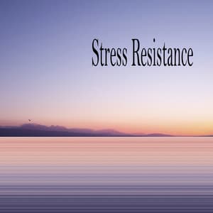 Stress Resistance - Sleeping Music