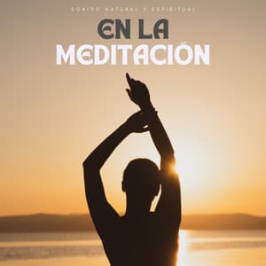 Sonido Natural Y Espiritual En La Meditación - Serenidad Academy